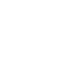 Batteriecheck Autohaus Schouren Icon weiß