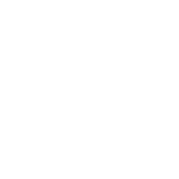 Fahrzeugdiagnose Werkstatt Autohaus Schouren Icon weiß